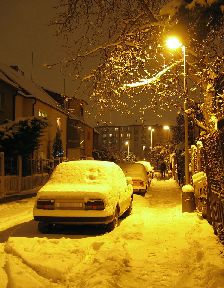 Vnoce 2005