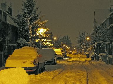 Vnoce 2005
