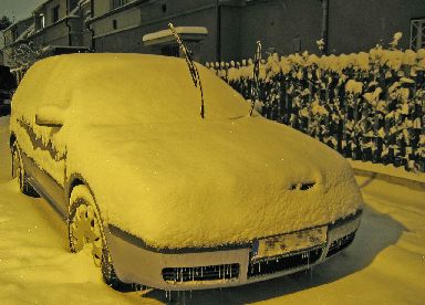 Vnoce 2005