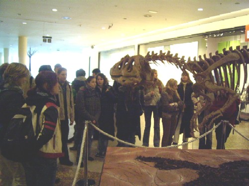 Vstava dinosaur v OC CHODOV