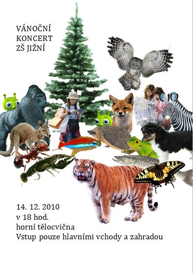 Vnon koncert Z Jin 2010