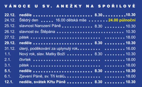 Vnon bohosluby 2013 u sv. Aneky