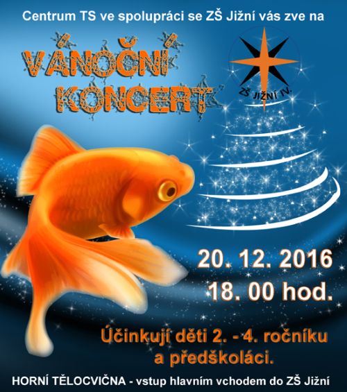 Vnon koncert
