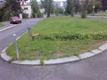 Bon II. zlomen stromek