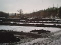 Hamersk rybnk 19. ledna 2009