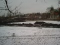 Hamersk rybnk 19. ledna 2009