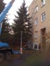 Vnon strom 2009