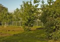 Roztylsk nmst - z 2010